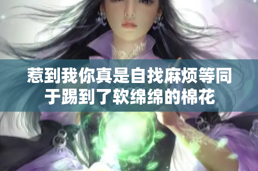 惹到我你真是自找麻烦等同于踢到了软绵绵的棉花