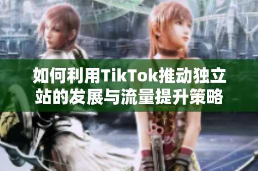 如何利用TikTok推动独立站的发展与流量提升策略
