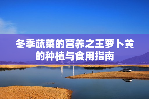 冬季蔬菜的营养之王萝卜黄的种植与食用指南