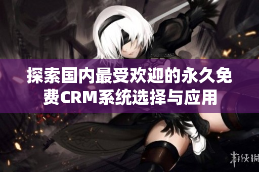 探索国内最受欢迎的永久免费CRM系统选择与应用