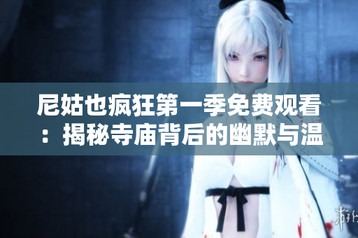 尼姑也疯狂第一季免费观看：揭秘寺庙背后的幽默与温情故事