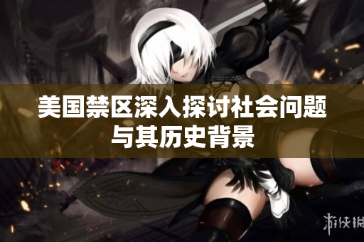美国禁区深入探讨社会问题与其历史背景