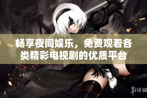 畅享夜间娱乐，免费观看各类精彩电视剧的优质平台
