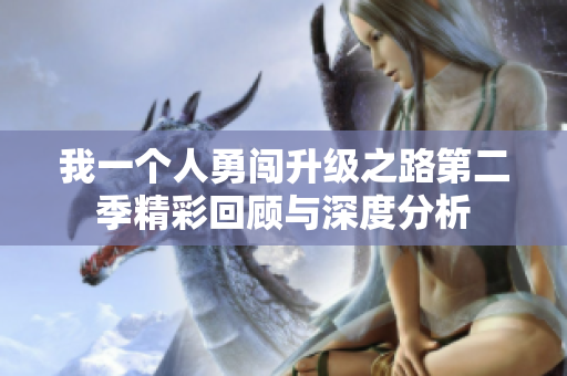 我一个人勇闯升级之路第二季精彩回顾与深度分析