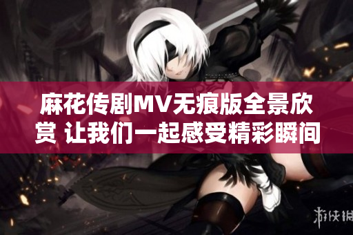 麻花传剧MV无痕版全景欣赏 让我们一起感受精彩瞬间
