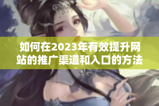 如何在2023年有效提升网站的推广渠道和入口的方法探讨
