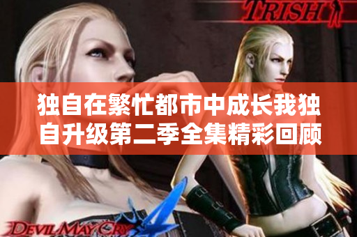 独自在繁忙都市中成长我独自升级第二季全集精彩回顾