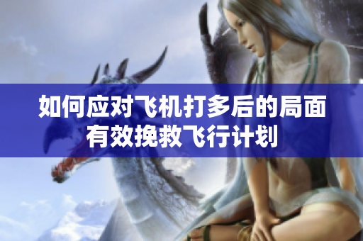 如何应对飞机打多后的局面有效挽救飞行计划