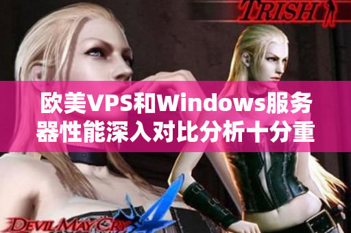 欧美VPS和Windows服务器性能深入对比分析十分重要