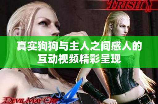 真实狗狗与主人之间感人的互动视频精彩呈现