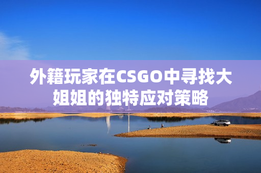 外籍玩家在CSGO中寻找大姐姐的独特应对策略
