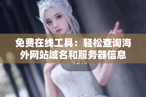 免费在线工具：轻松查询海外网站域名和服务器信息