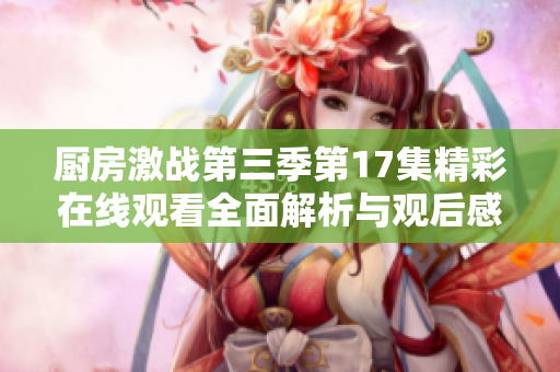 厨房激战第三季第17集精彩在线观看全面解析与观后感分享