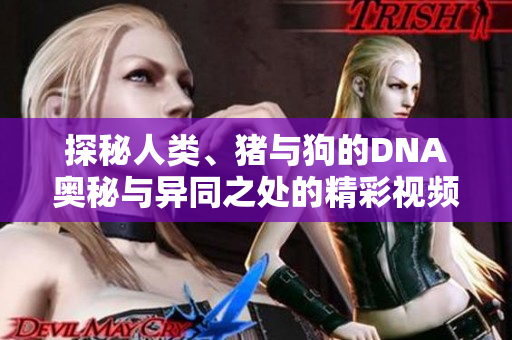 探秘人类、猪与狗的DNA奥秘与异同之处的精彩视频解析