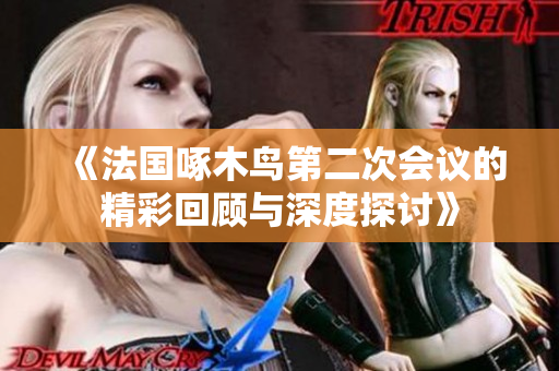 《法国啄木鸟第二次会议的精彩回顾与深度探讨》