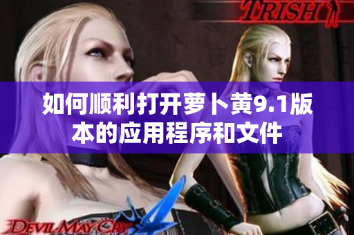 如何顺利打开萝卜黄9.1版本的应用程序和文件