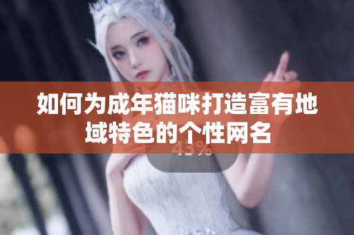 如何为成年猫咪打造富有地域特色的个性网名