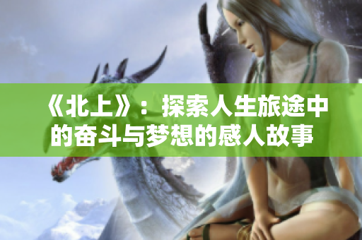 《北上》：探索人生旅途中的奋斗与梦想的感人故事
