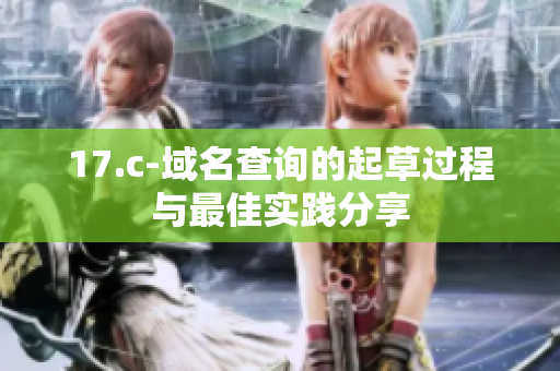 17.c-域名查询的起草过程与最佳实践分享