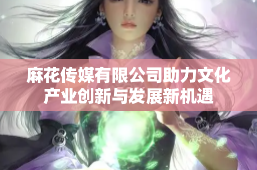 麻花传媒有限公司助力文化产业创新与发展新机遇