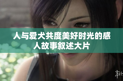 人与爱犬共度美好时光的感人故事叙述大片