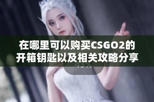 在哪里可以购买CSGO2的开箱钥匙以及相关攻略分享
