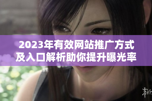 2023年有效网站推广方式及入口解析助你提升曝光率