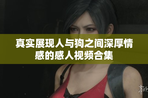真实展现人与狗之间深厚情感的感人视频合集