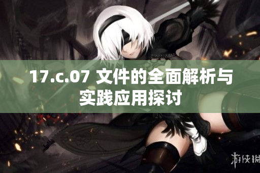 17.c.07 文件的全面解析与实践应用探讨