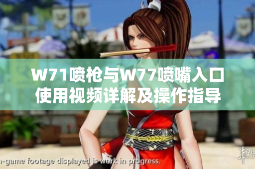 W71喷枪与W77喷嘴入口使用视频详解及操作指导