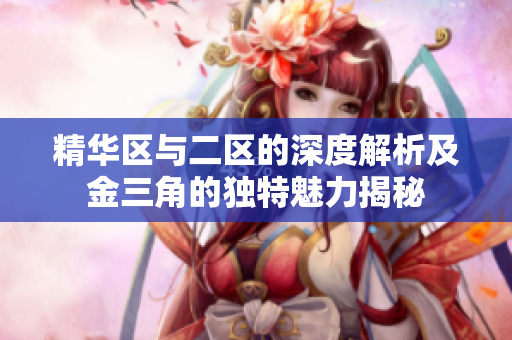 精华区与二区的深度解析及金三角的独特魅力揭秘
