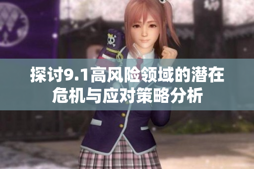 探讨9.1高风险领域的潜在危机与应对策略分析
