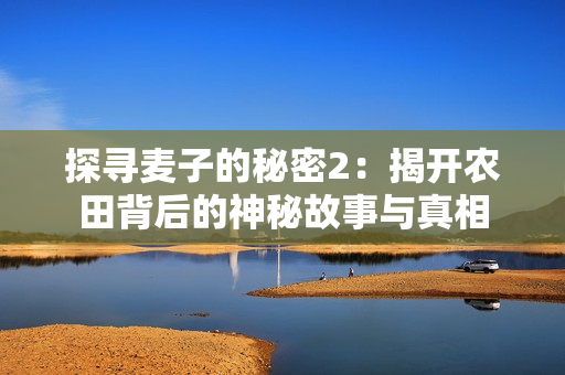 探寻麦子的秘密2：揭开农田背后的神秘故事与真相