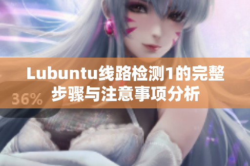 Lubuntu线路检测1的完整步骤与注意事项分析