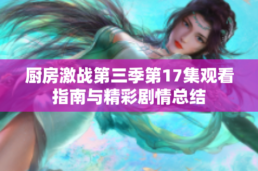厨房激战第三季第17集观看指南与精彩剧情总结