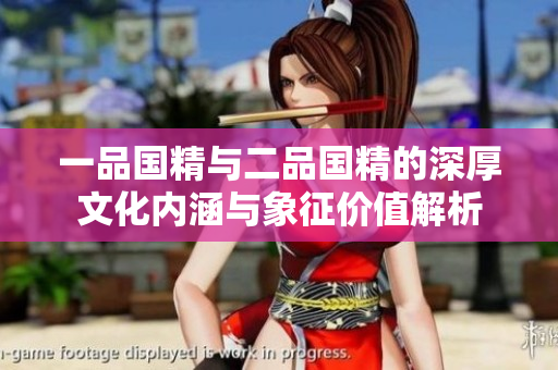 一品国精与二品国精的深厚文化内涵与象征价值解析