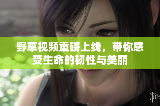 野草视频重磅上线，带你感受生命的韧性与美丽
