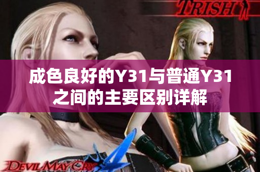 成色良好的Y31与普通Y31之间的主要区别详解