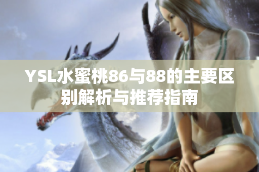 YSL水蜜桃86与88的主要区别解析与推荐指南