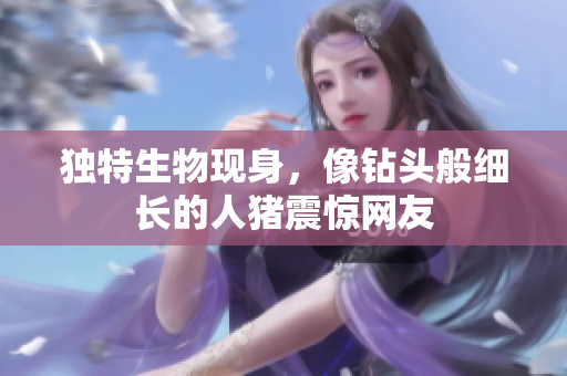 独特生物现身，像钻头般细长的人猪震惊网友