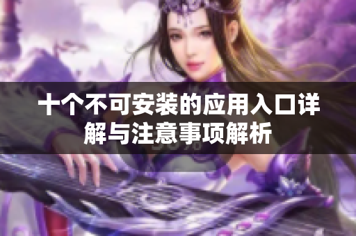 十个不可安装的应用入口详解与注意事项解析