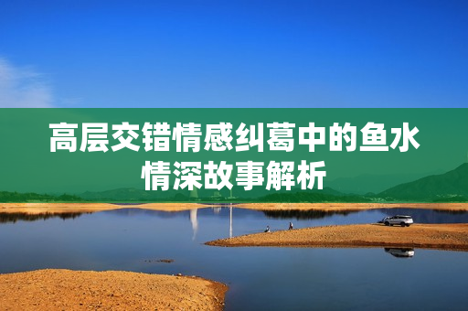 高层交错情感纠葛中的鱼水情深故事解析