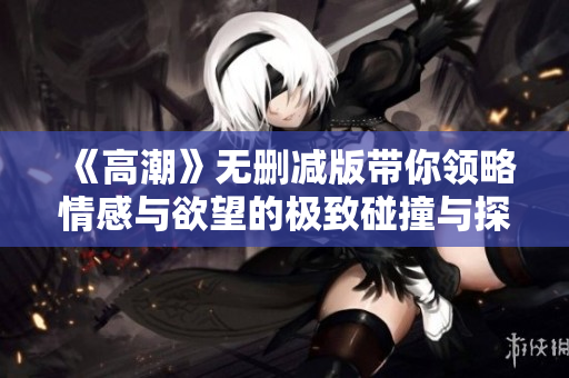《高潮》无删减版带你领略情感与欲望的极致碰撞与探索