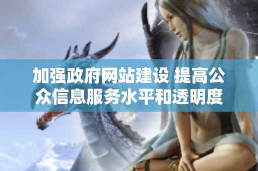 加强政府网站建设 提高公众信息服务水平和透明度