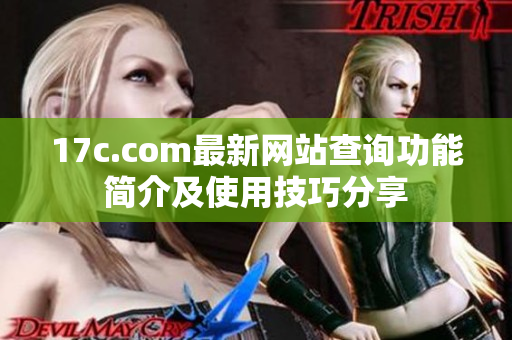 17c.com最新网站查询功能简介及使用技巧分享