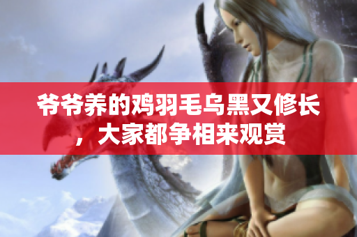 爷爷养的鸡羽毛乌黑又修长，大家都争相来观赏