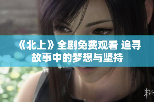 《北上》全剧免费观看 追寻故事中的梦想与坚持