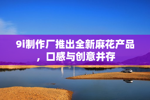 9i制作厂推出全新麻花产品，口感与创意并存