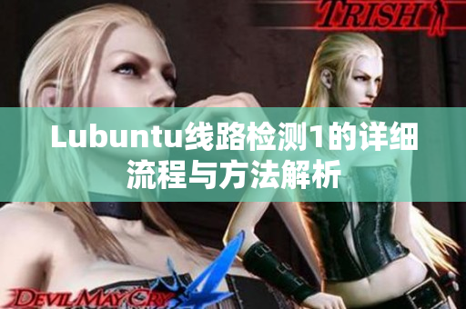 Lubuntu线路检测1的详细流程与方法解析