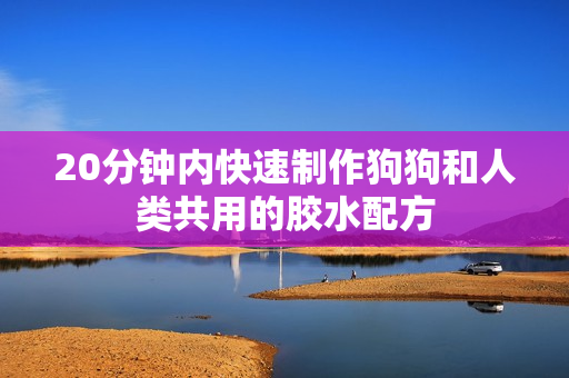 20分钟内快速制作狗狗和人类共用的胶水配方